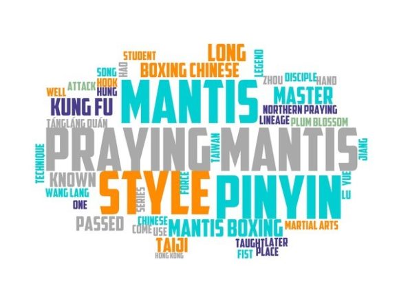 Exploring Northern Praying Mantis Typography Banne: A Versatile Design Asset