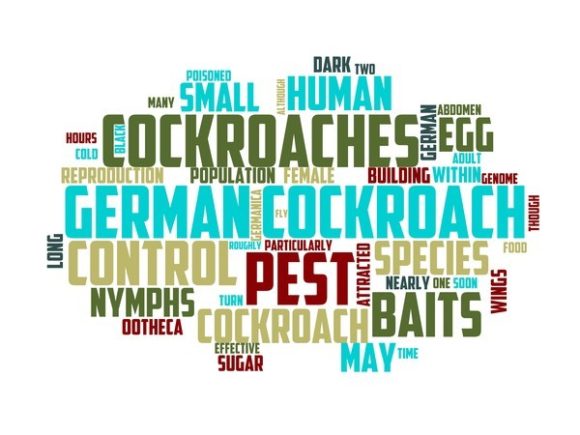 Exploring the Pest Controller Typography Tshirt and Its Versatile Wordcloud Design