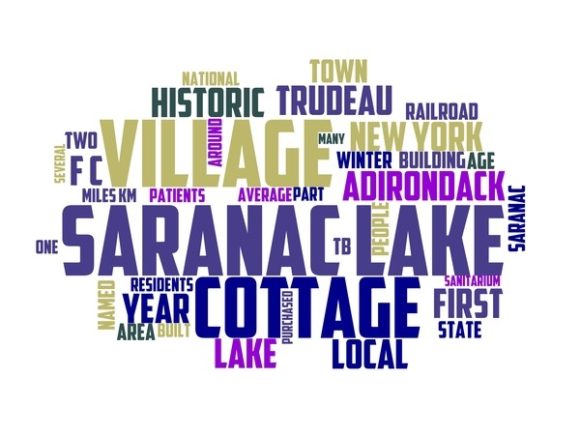 Exploring the Versatility of Saranac Lake Typography Banner and Its Impact on Creative Design