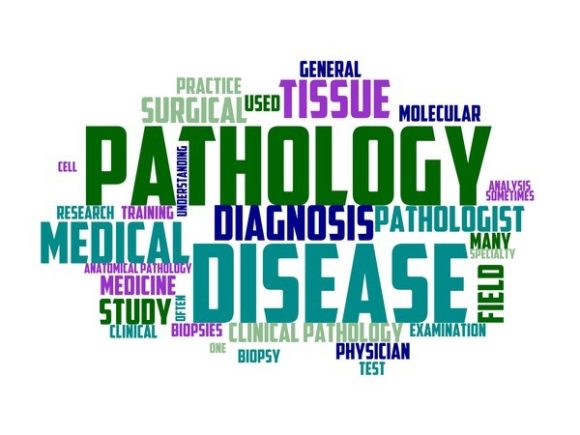 Pathologist Typography Tumbler: A Creative Tool for Design Enthusiasts