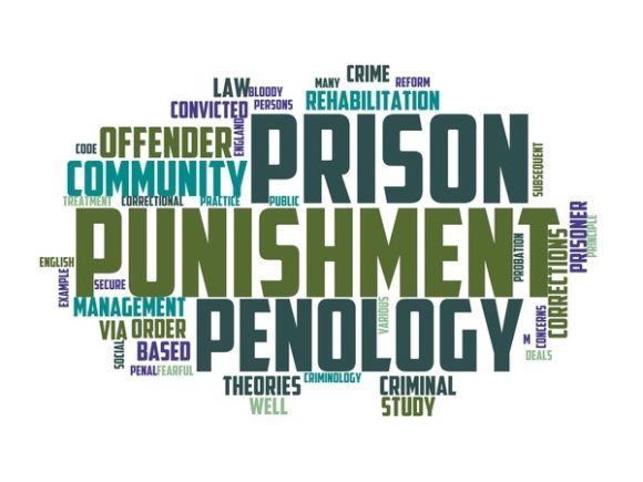 Pedology Typography Print: A Beautiful Wordcloud for Creative Expression