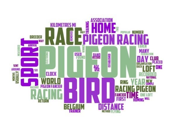 Pigeon Racing Typography Crafting